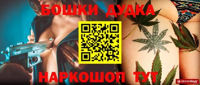 крисы Лесосибирск