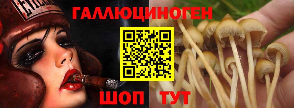 сколько стоит  Псилоцибиновые грибы Magic Shrooms  Вход с VPN  Ейск 